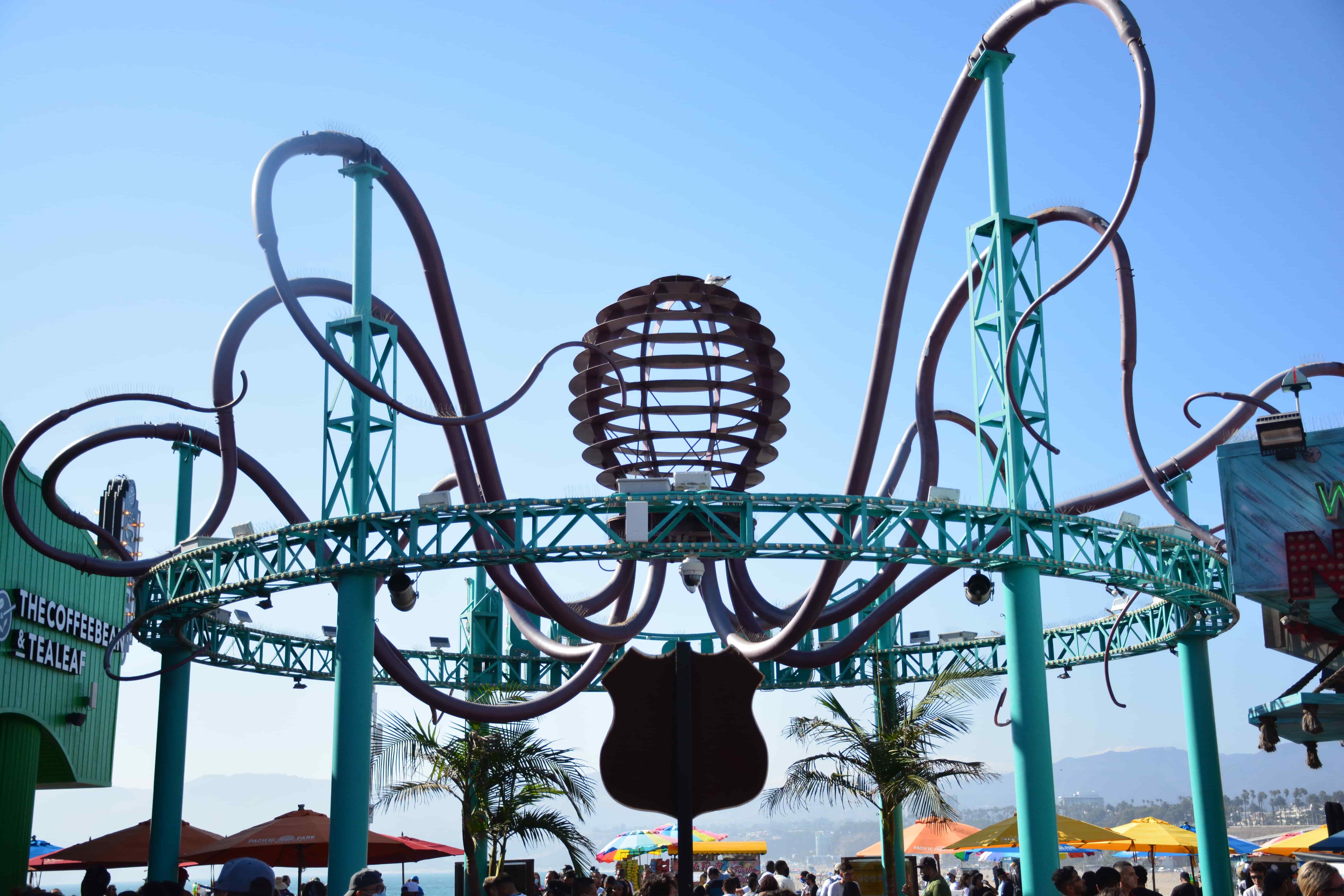 Octopus at Marina Del Rey