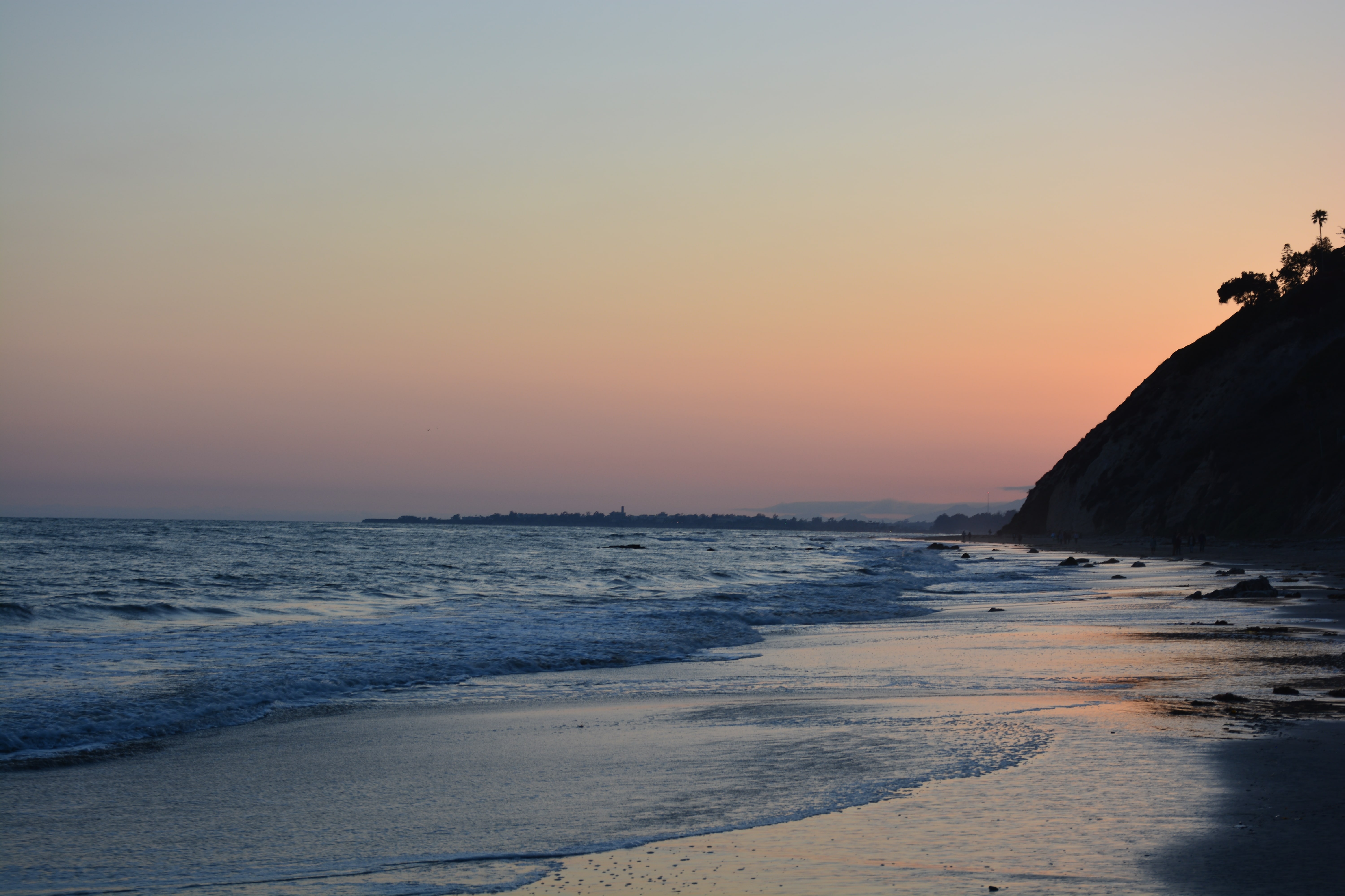 Palm Trees - Waves - Sunset