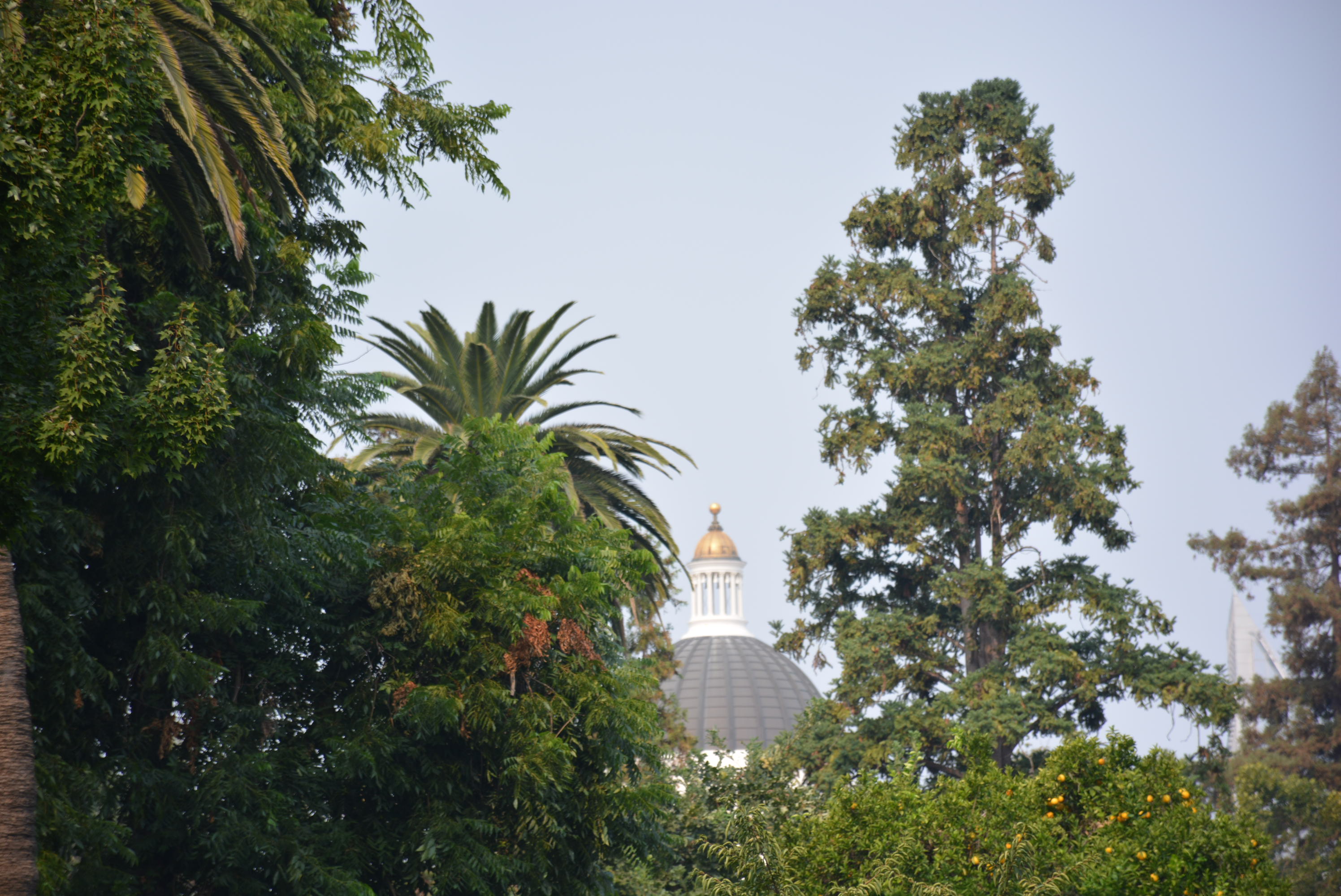 Peak of the Capitol
