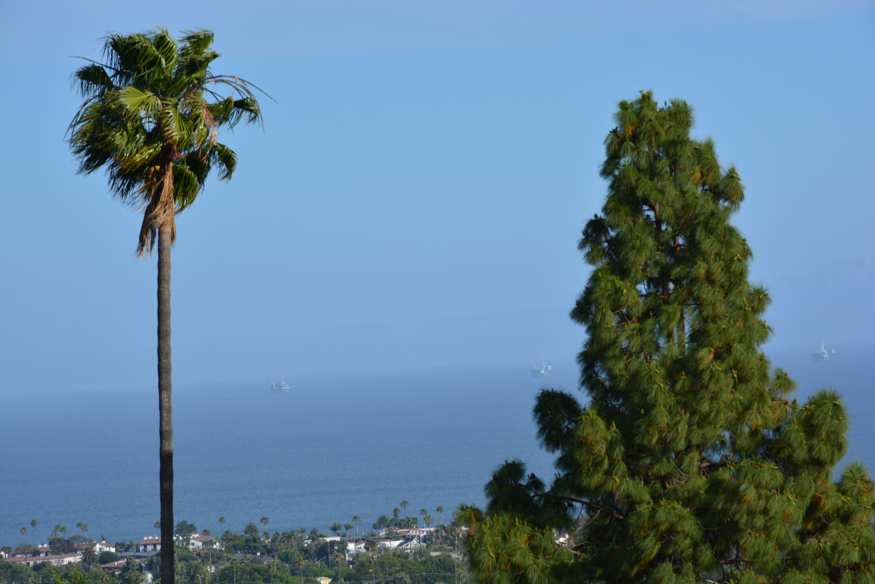 SB Palms