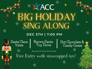 Big sing  (320 x 240 px) (3)