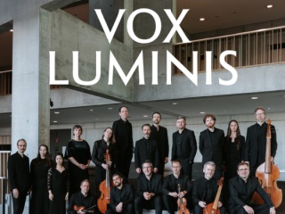 Vox 320
