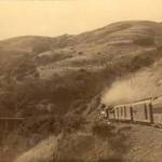 White's Hill near Fairfax, 1889.From 1879-81 gold mining occured about four miles west of San Rafael near While's Hill. <span>© Anne T. Kent Rm. Jenkins </span>