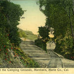 Postcard circa 1910, showing spur line, north of the town of Marshall <span>© Anne T. Kent Room </span>