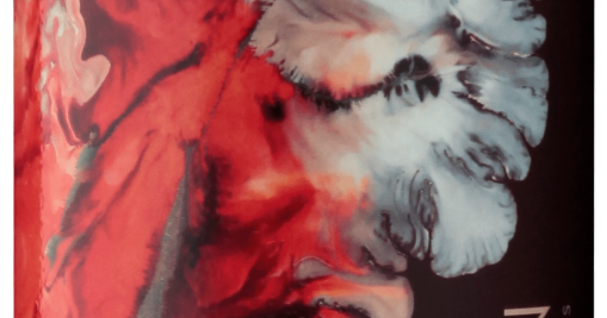 Castoro Cellars 2021 Zinfusion