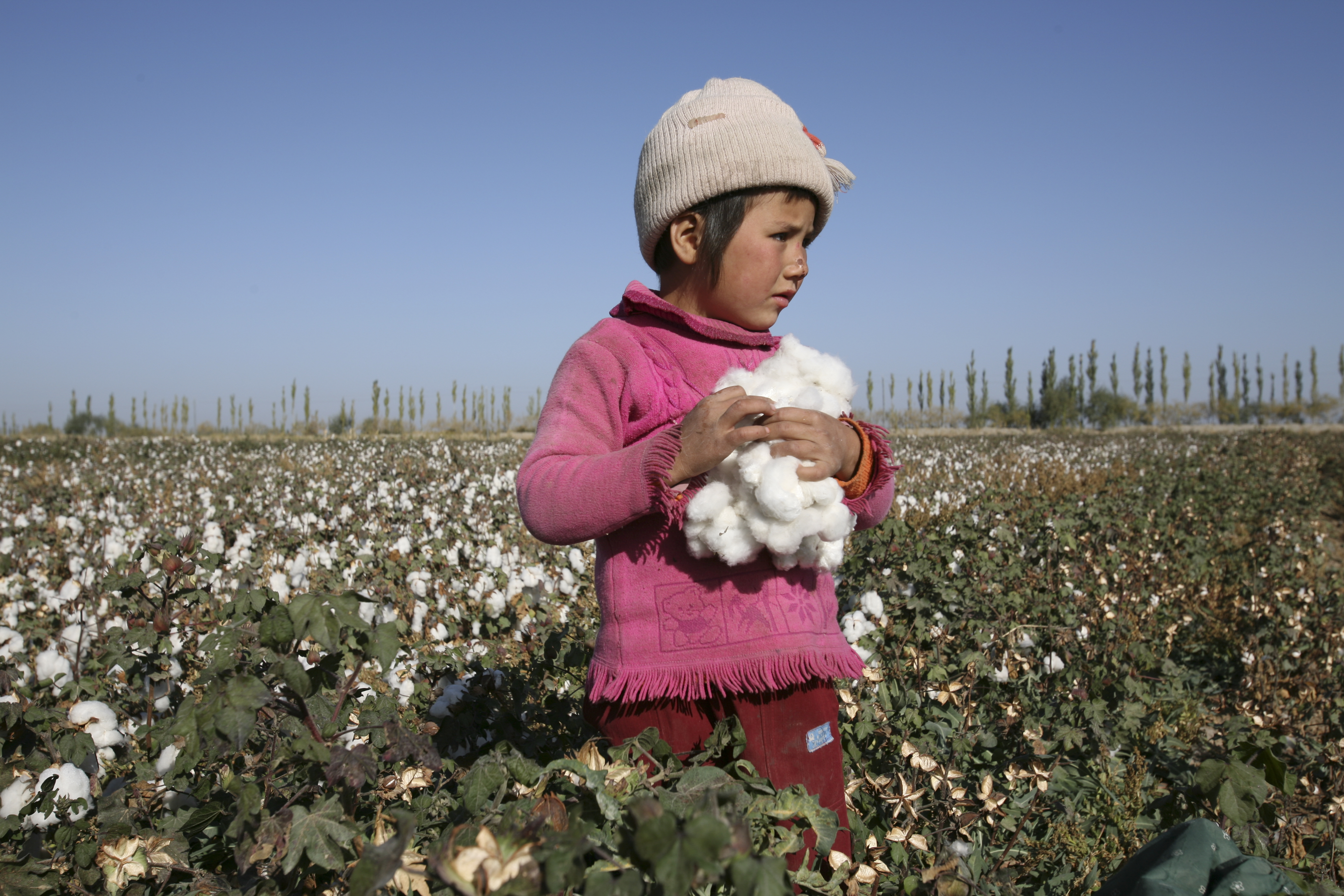 case study child labor in bangladesh