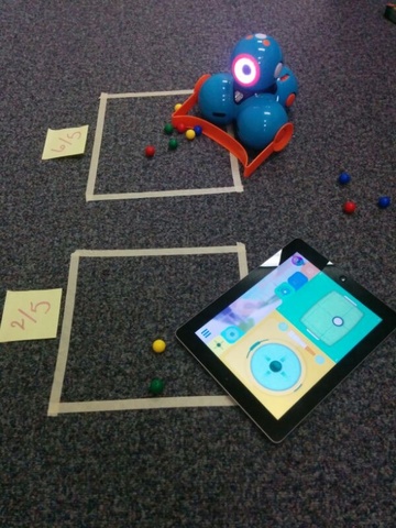 Maze setup