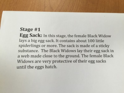Stage 1