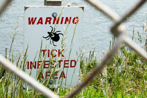 About Lyme Featured Image Tick Infested Area Sign