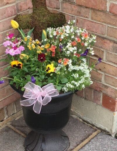 LymeLight Foundation Pots With Purpose