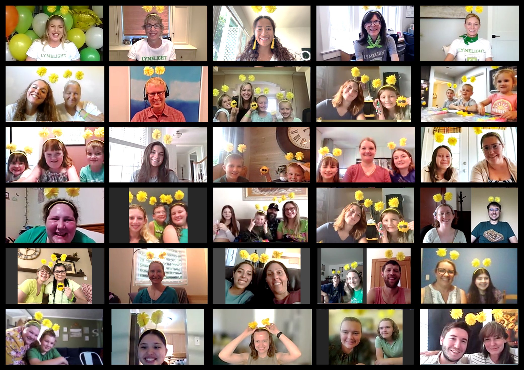 11th Annual LymeLight Grants Reception