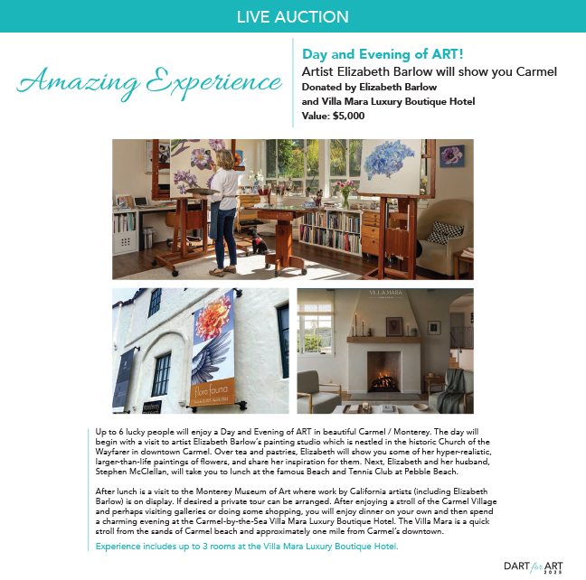 Lymelight Catalog 2024 Raffle Auction