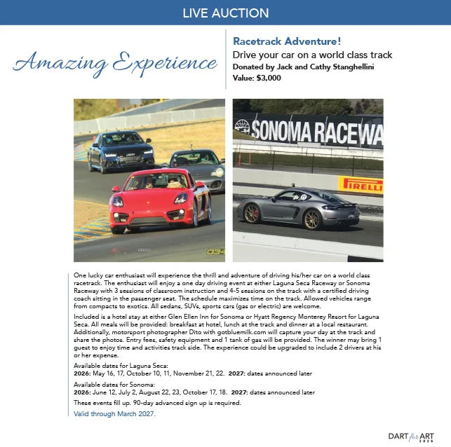 Lymelight Catalog 2024 Raffle Auction