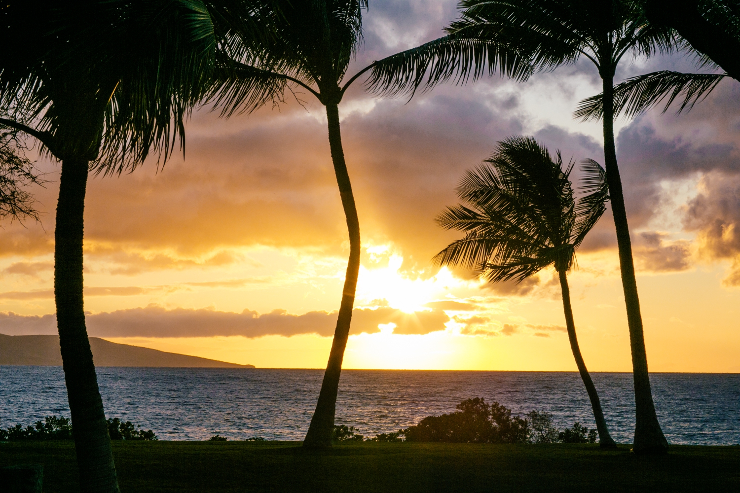 LVL Weddings and Events Sugarman Estate Hawaii