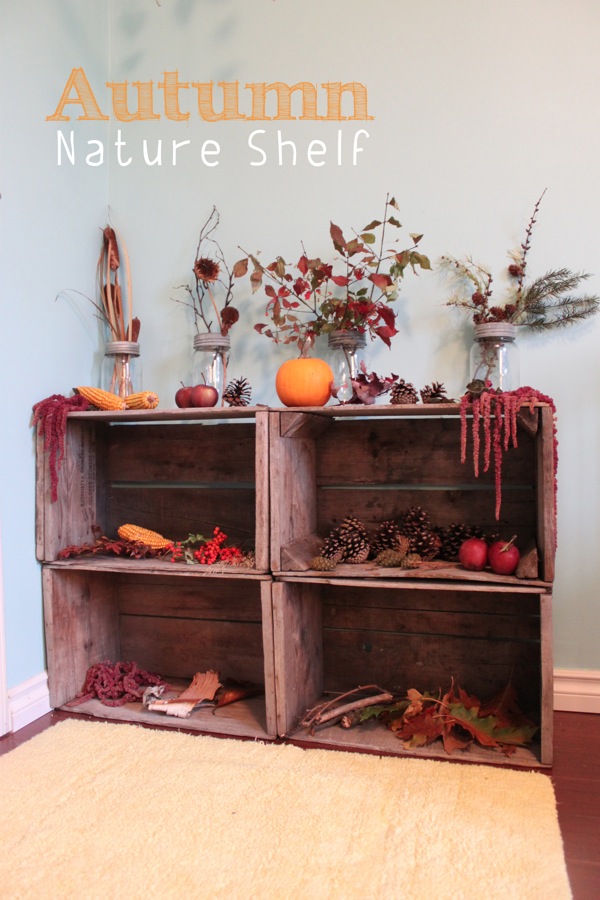 Autumn Nature Shelf