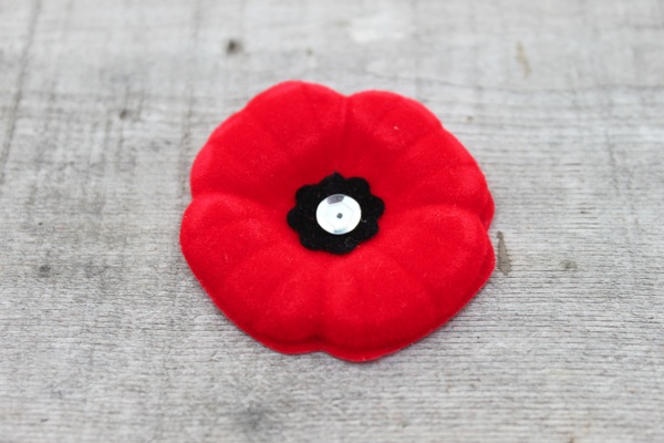 Life hacks: 5 ways to keep your Remembrance Day poppy in place