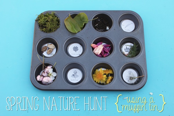 Spring Nature Hunt Using a Muffin Tin | Mama Papa Bubba