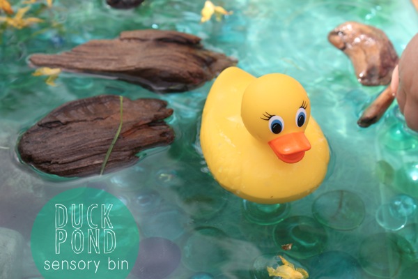 Duck Pond Sensory Bin | Mama Papa Bubba