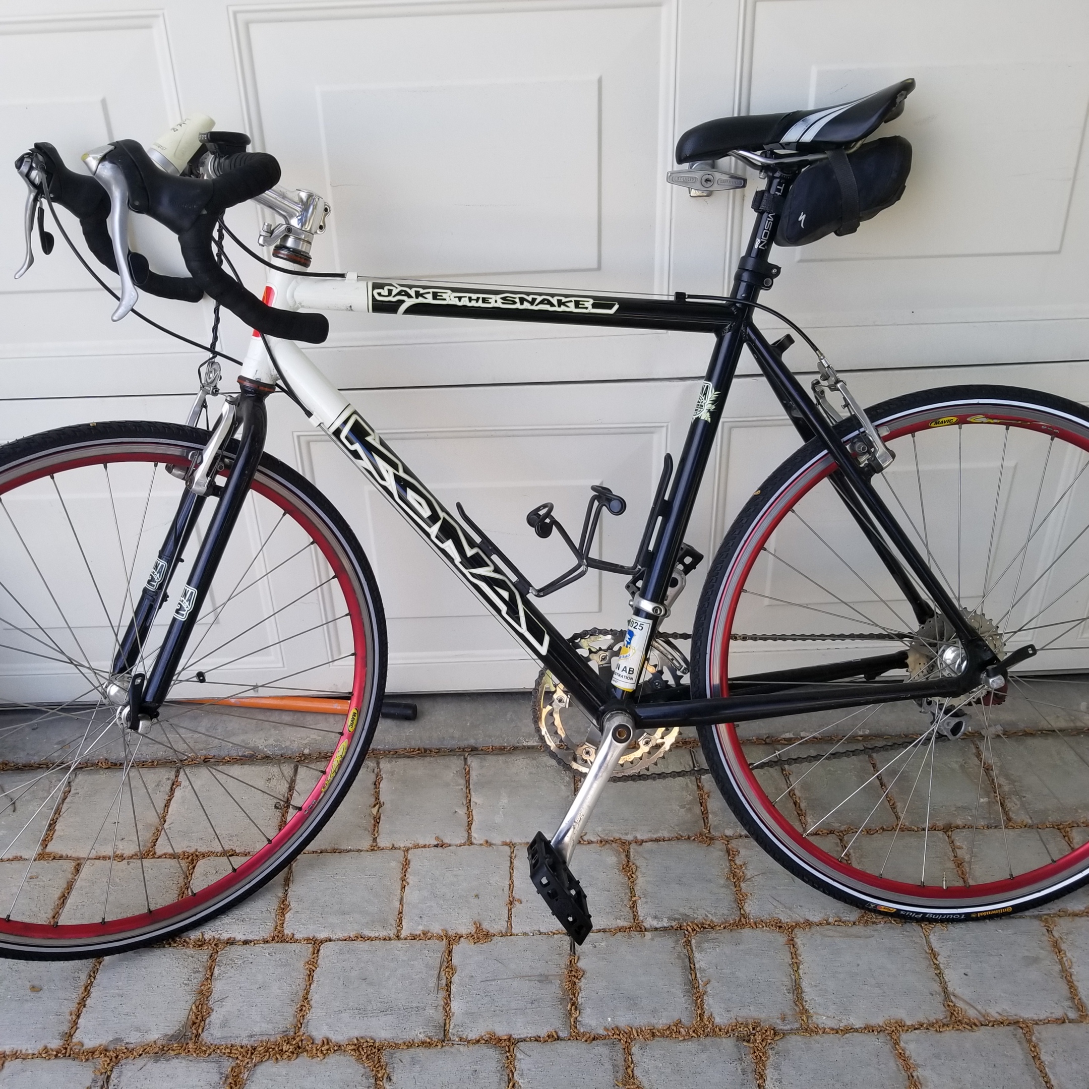 2019 kona jake the snake