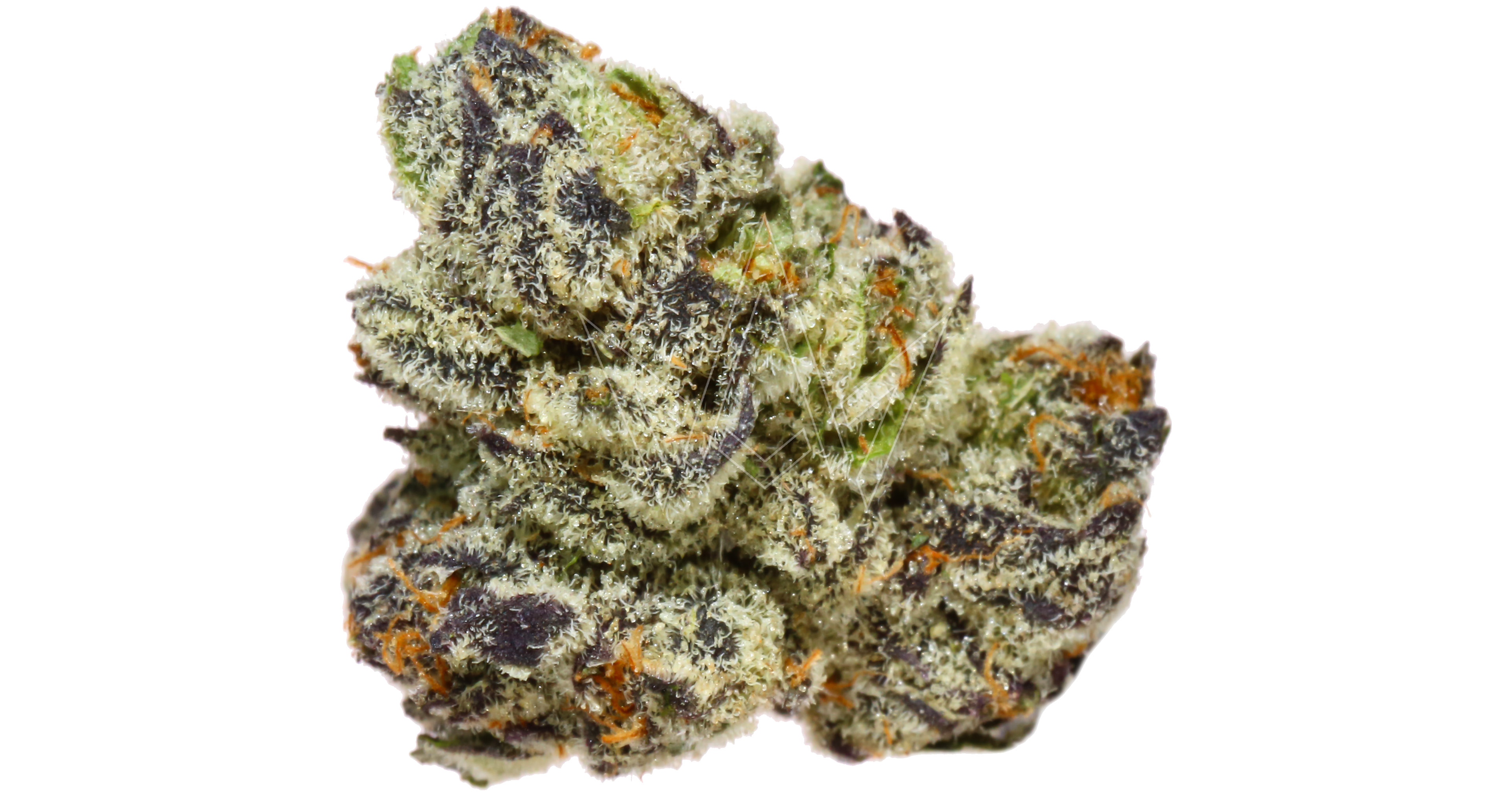 Grizzly Peak Farms Sherb Cake 3.5g San Diego, Vista & Imperial