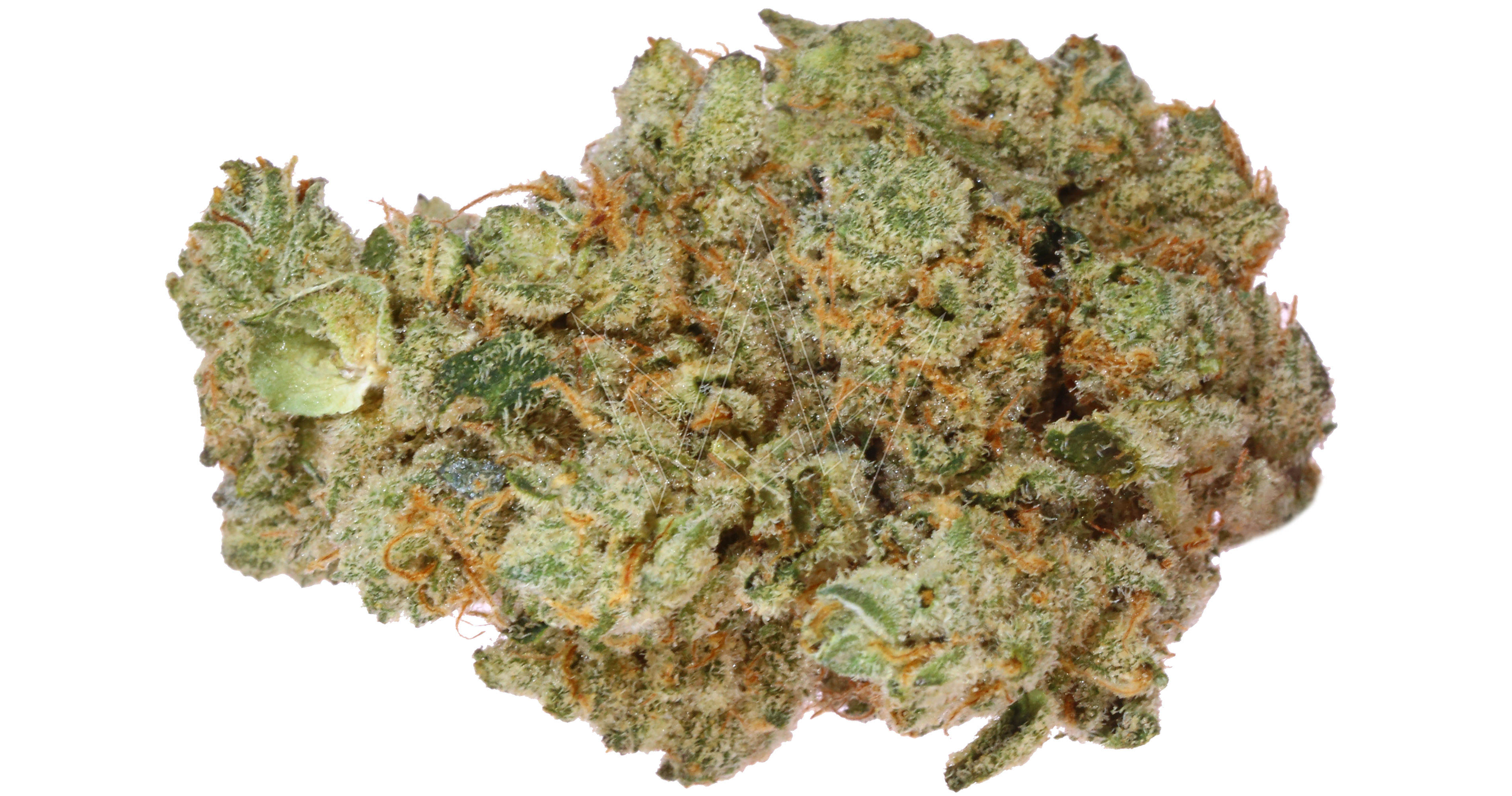 Island Ice Cream Mints 3.5g San Diego, Vista & Imperial Cannabis