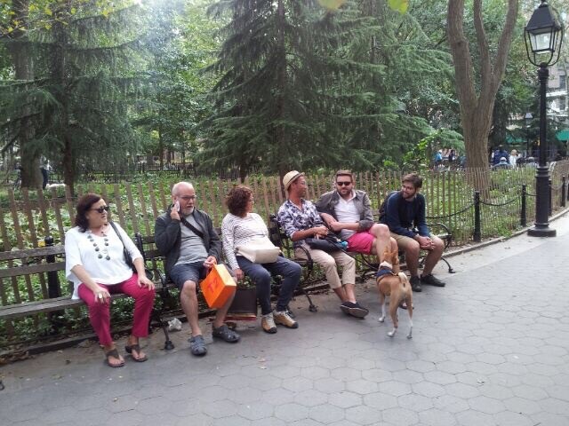 A walk through the park.