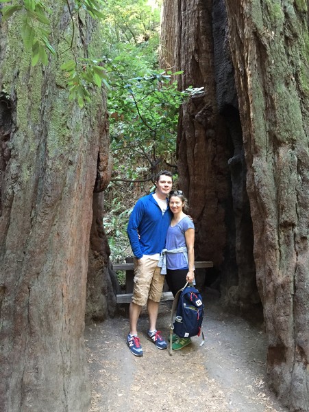 Visiting the Redwoods