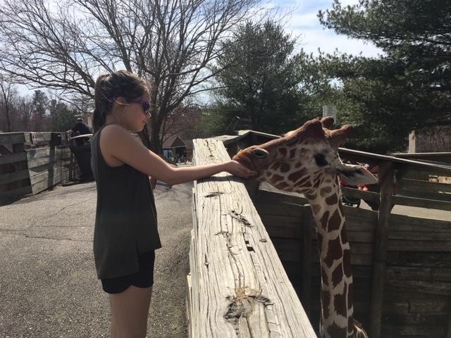 Kam and giraffe