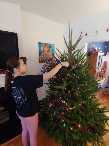Prepping the tree 2