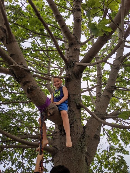 Climbing tree