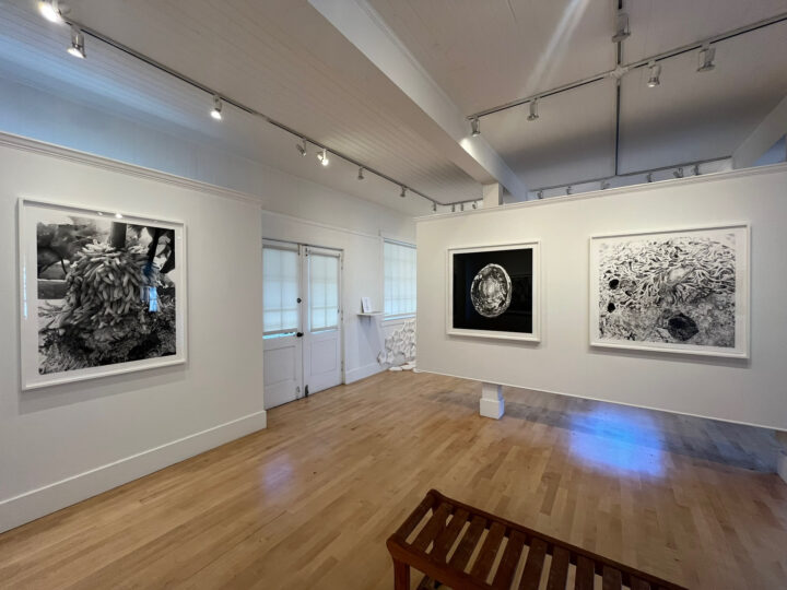 Artist Talk: Charlie Callahan, Kristiana Chan 莊礼恩, Tanja Geis, Shao-Feng Hsu with Marialidia Marcotulli