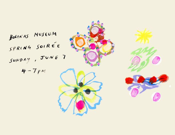Spring Soirée Benefit 
