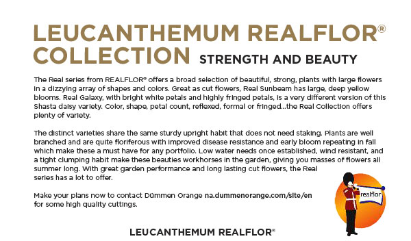 PlantHaven International e-Brief, January 2017