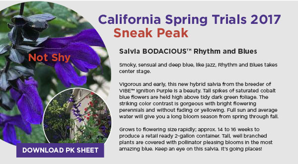 PlantHaven International e-Brief, January 2017