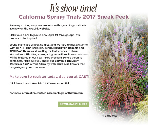 PlantHaven International e-Brief Newsletter, February 2017