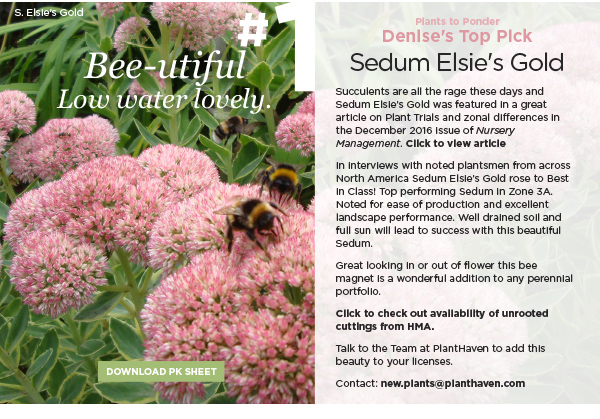 PlantHaven International e-Brief Newsletter, February 2017