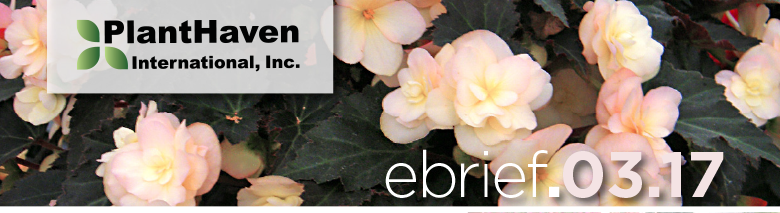 PlantHaven E-Brief Newsletter - March 2017