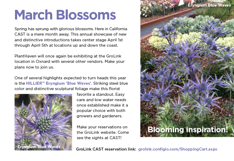 PlantHaven E-Brief Newsletter - March 2017