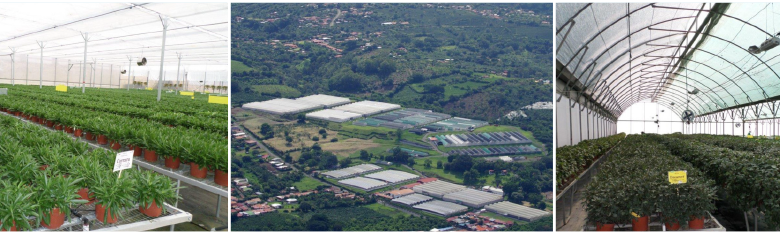 PlantHaven E-Brief Newsletter - March 2017