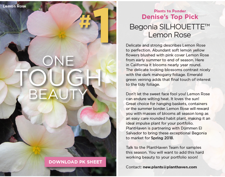 PlantHaven E-Brief Newsletter - March 2017