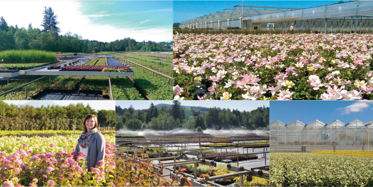 PlantHaven e-Brief Newsletter - April 2017