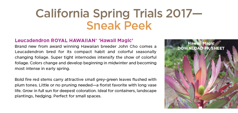 PlantHaven e-Brief Newsletter - April 2017