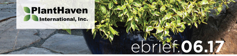 PlantHaven eBrief Newsletter - June 2017