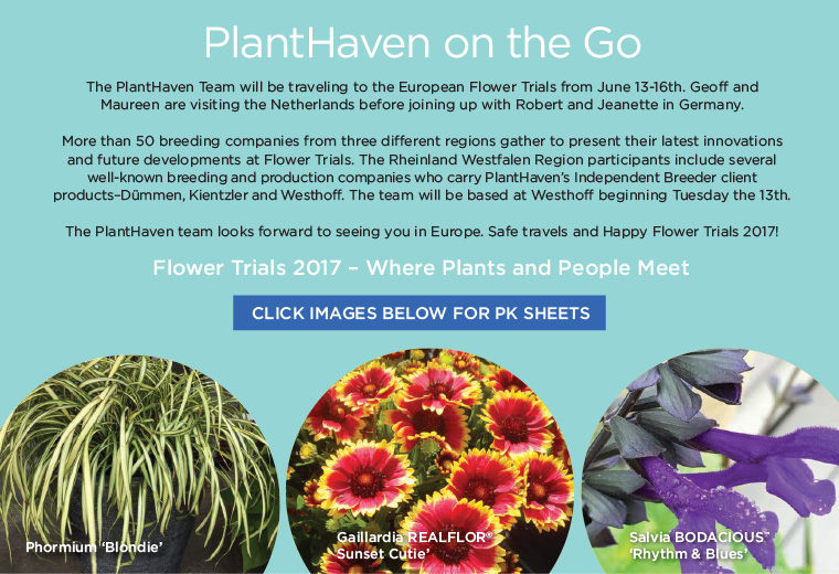 PlantHaven eBrief Newsletter - June 2017