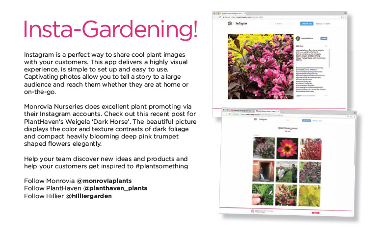 PlantHaven eBrief Newsletter - June 2017