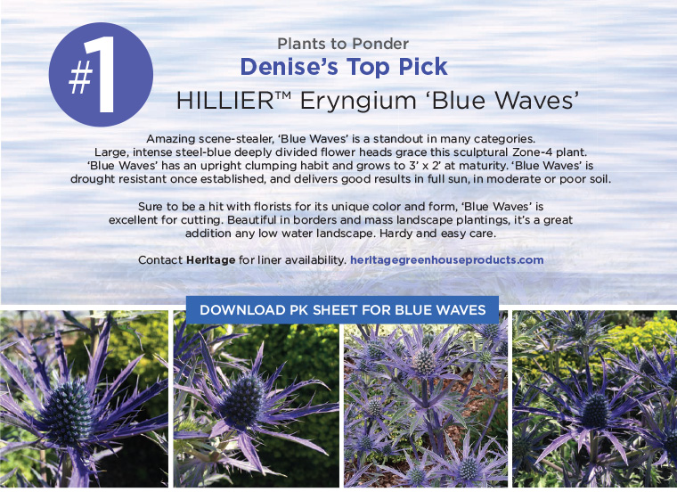 PlantHaven eBrief Newsletter - June 2017