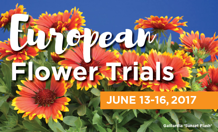 PlantHaven Hot Selection - European Flower Trials 2017