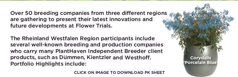 PlantHaven Hot Selection - European Flower Trials 2017