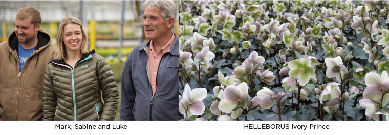 PlantHaven eBrief Newsletter - July 2017