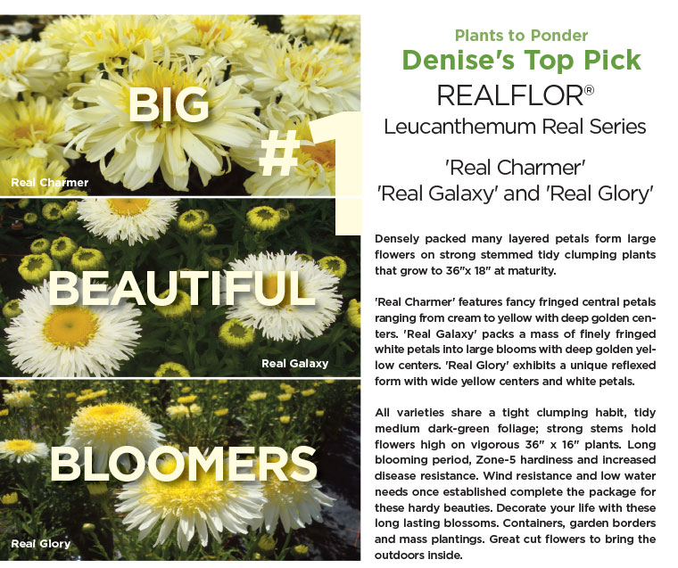 PlantHaven eBrief Newsletter - July 2017